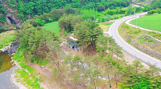 리버파크캠핑장 대표이미지