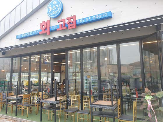 회고집 장기본점