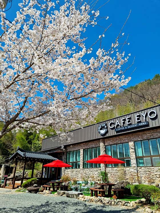 카페 에요 CAFE EYO