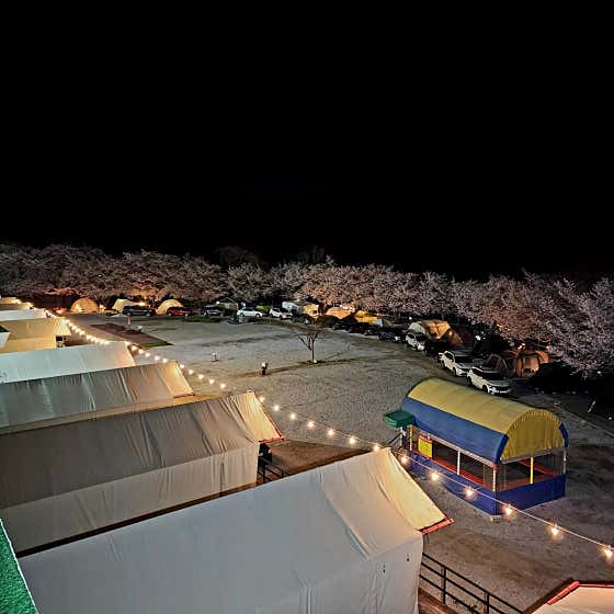 꿈꾸는 캠핑장 사진