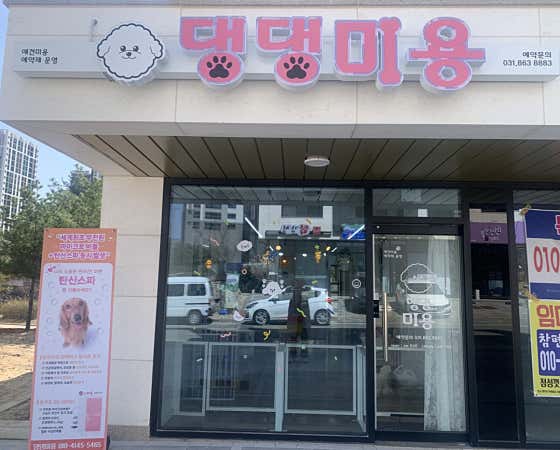 댕댕미용 대표이미지