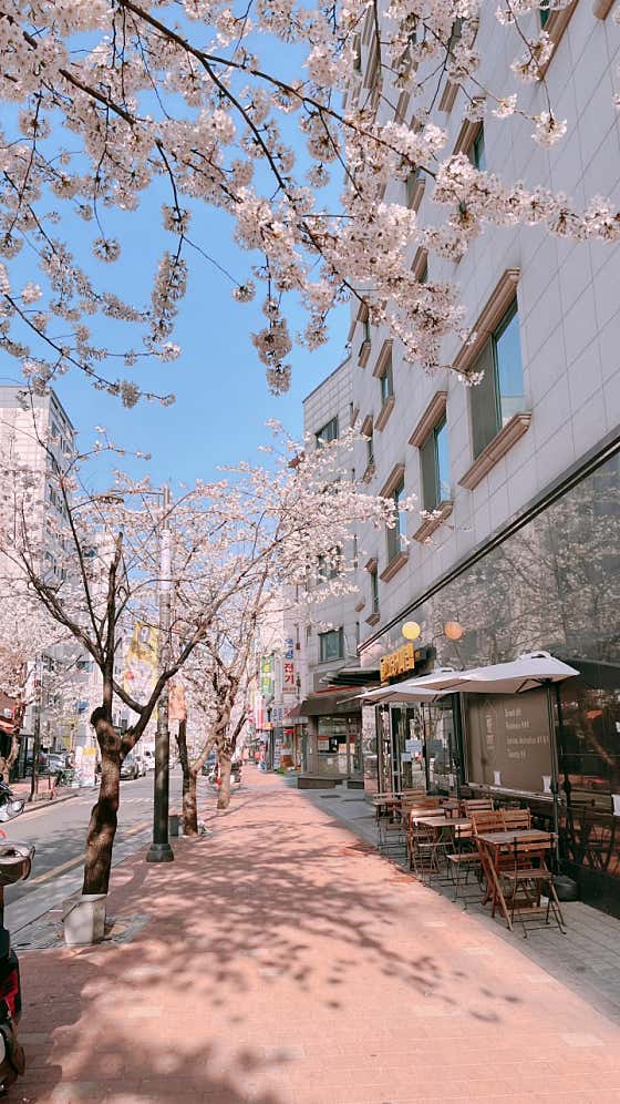 그릿커피랩 신림점