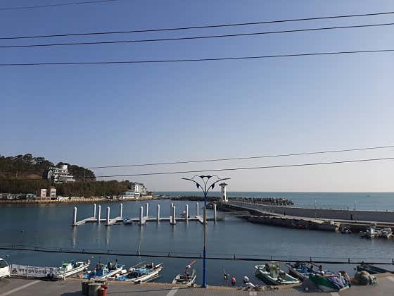 바다소풍애견펜션 · 네이버 지도·플레이스 2