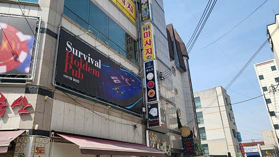 큐스코당구