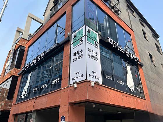 피카소동물병원 대표이미지