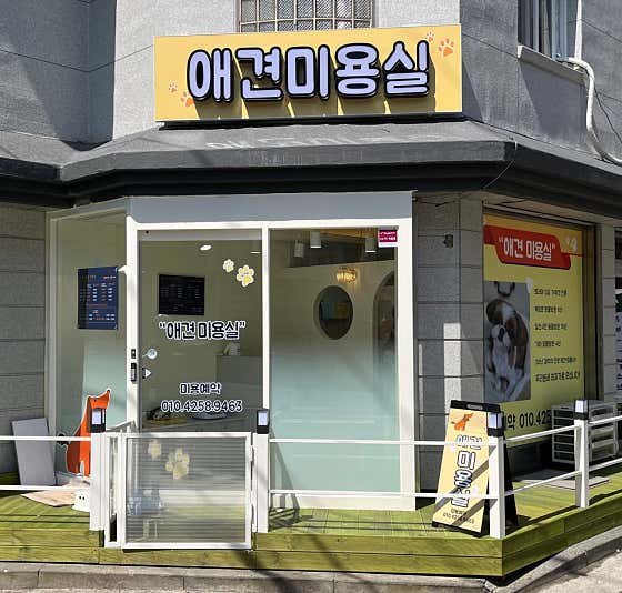 애견미용실 · 네이버 지도·플레이스 10