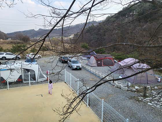 소나무카페, 캠핑, 방갈로, 평상 · 네이버 지도·플레이스 6