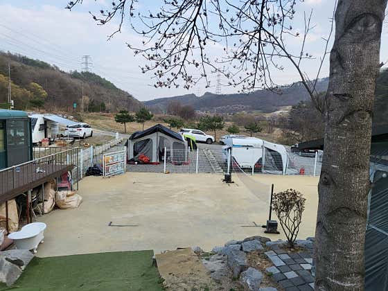 소나무카페, 캠핑, 방갈로, 평상 · 네이버 지도·플레이스 4