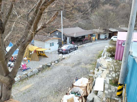 소나무카페, 캠핑, 방갈로, 평상 · 네이버 지도·플레이스 8