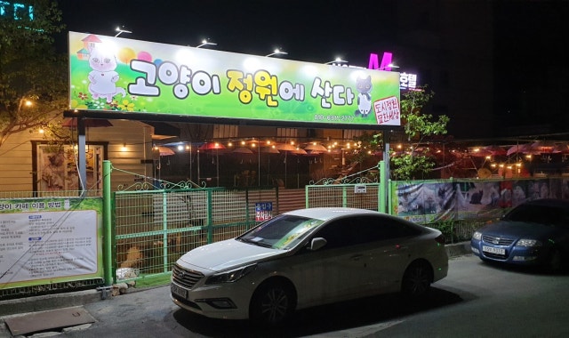 도시정원묘한세상 고양이정원에산다 대표 사진