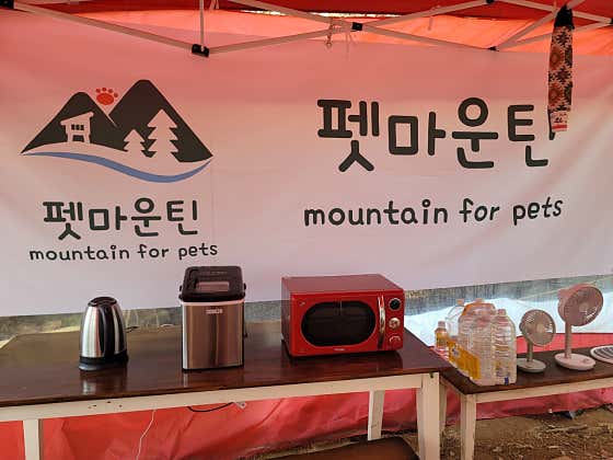 위즈덤마운틴 광주점