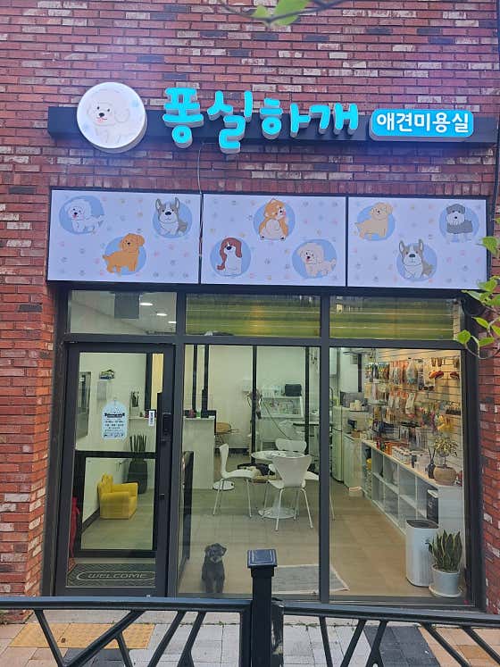 퐁실하개 · 네이버 지도·플레이스 2