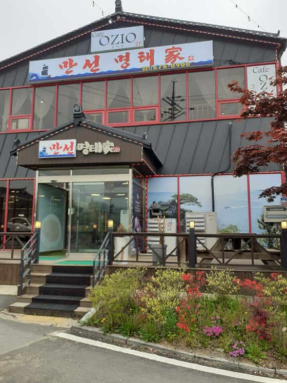 만선명태가