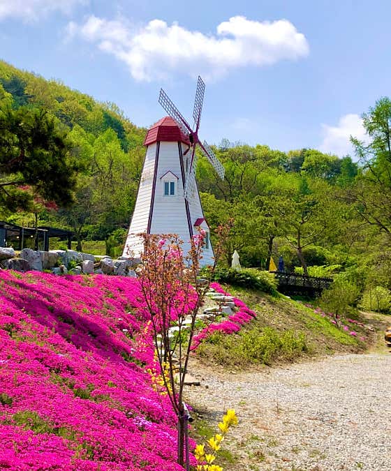 언덕위에풍차카페
