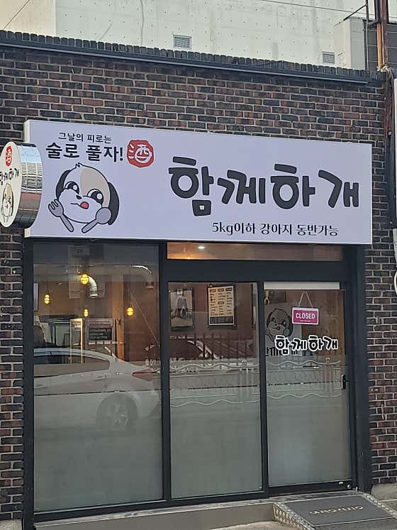 함께하개 · 네이버 지도·플레이스 9