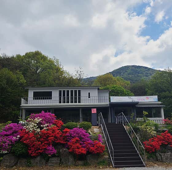 향기를보다