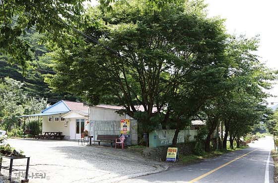 보현산식당 · 네이버 지도·플레이스 2