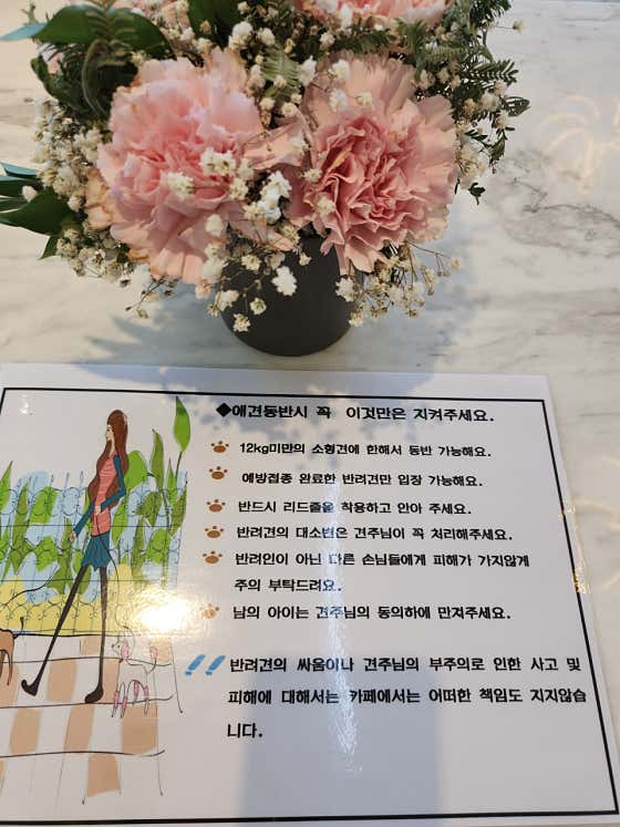 도화 커피숍 · 네이버 지도·플레이스 5