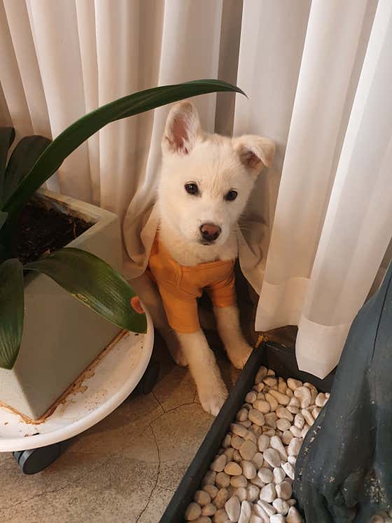커피89도씨