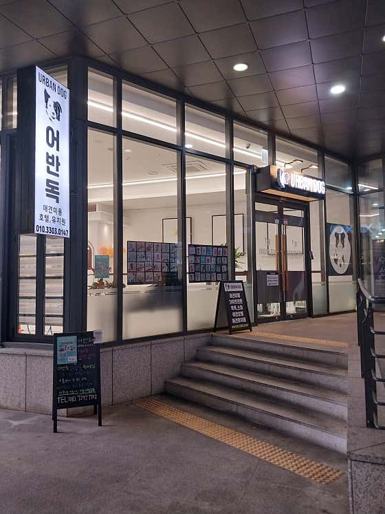 어반독 대표이미지