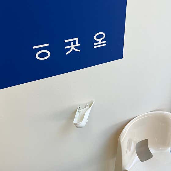 이곳에