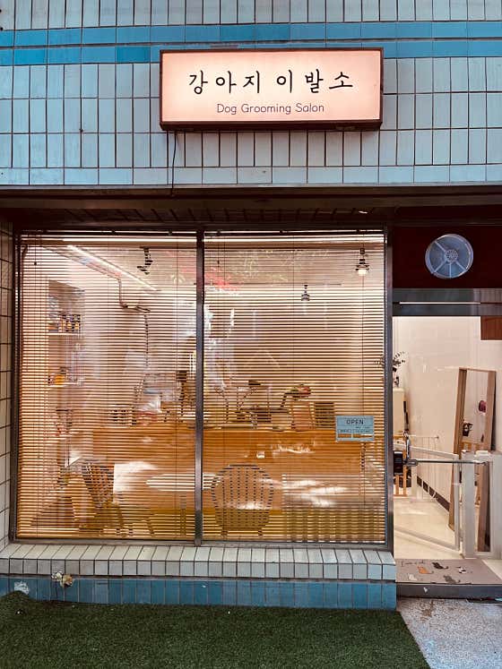 강아지이발소