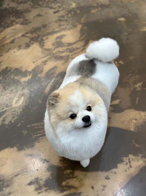 헤이쥬드 · 네이버 지도·플레이스 5