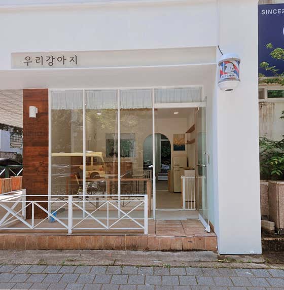 우리강아지 대표이미지