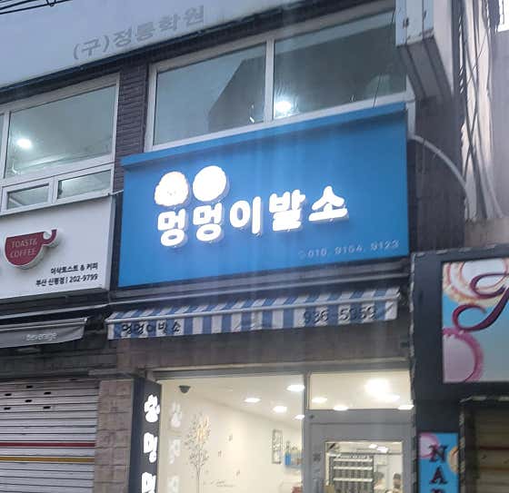 멍멍이발소 · 네이버 지도·플레이스 8
