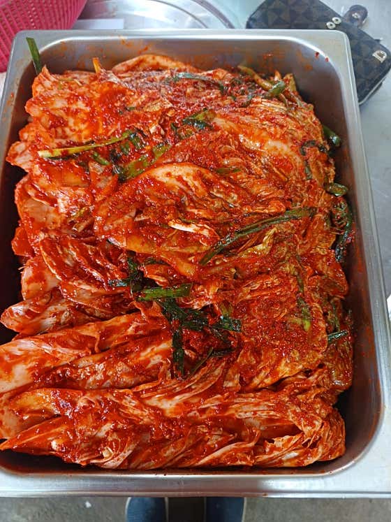네이버 플레이스 옛날보리밥삼색칼국수 : 네이버