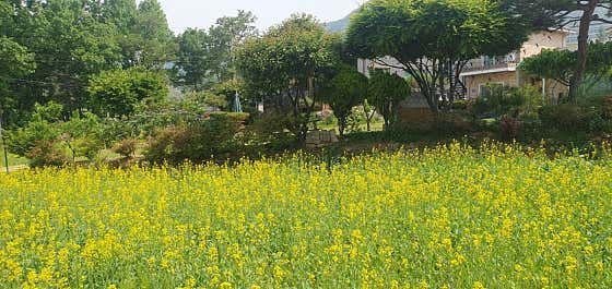커피집 이야기 · 네이버 지도·플레이스 10