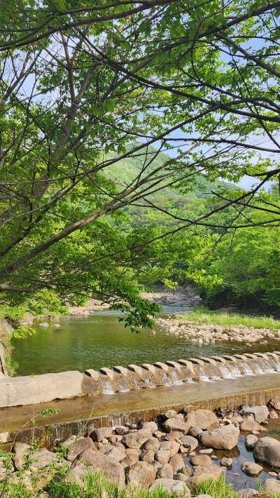 카페 명원 티가든 · 네이버 지도·플레이스 10