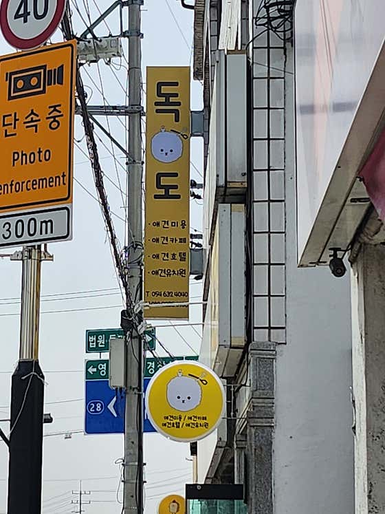 독도애견카페