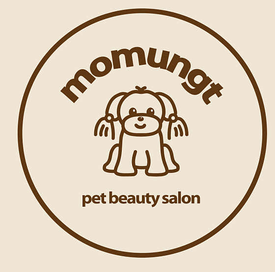 모멍트