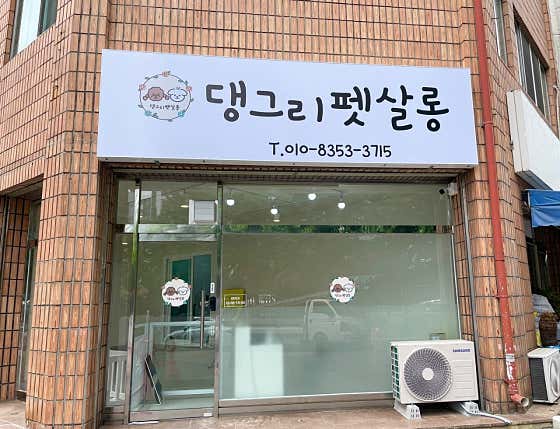 댕그리펫살롱 · 네이버 지도·플레이스 2