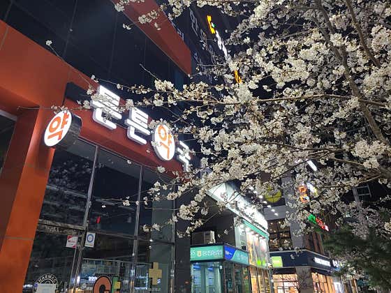 튼튼약국