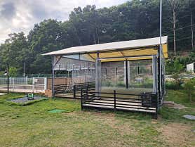 개차반캠핑장 사진