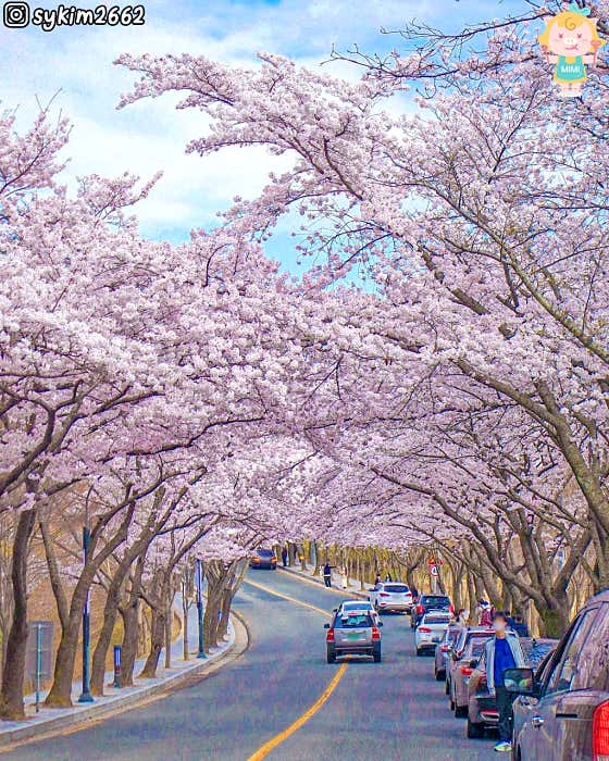팔공산 영화식당 · 네이버 지도·플레이스 2
