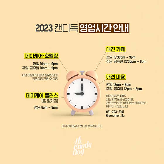 캔디독 · 네이버 지도·플레이스 2