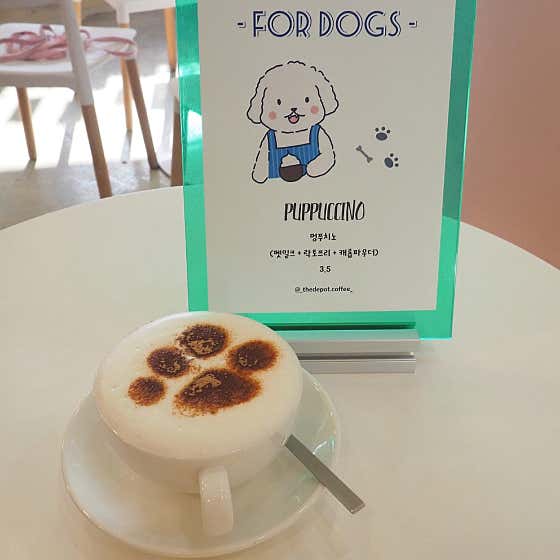 멍푸치노(Puppuccino) 메뉴 사진(네이버)