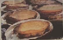 (구이) 전복 메뉴 사진(네이버)