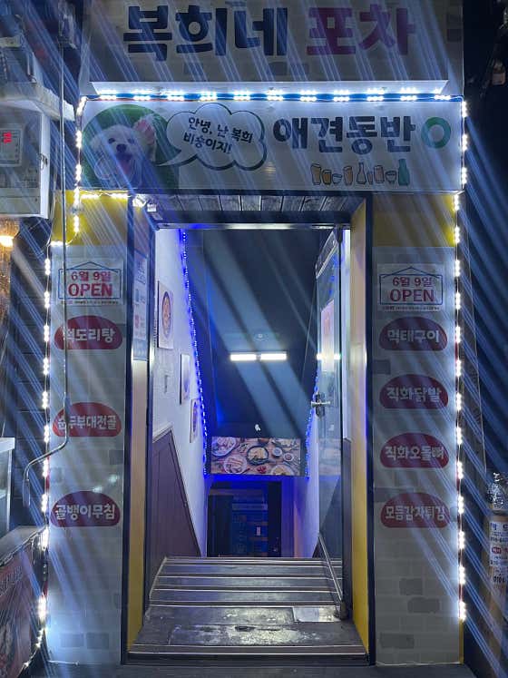 복희네 포차 · 네이버 지도·플레이스 6