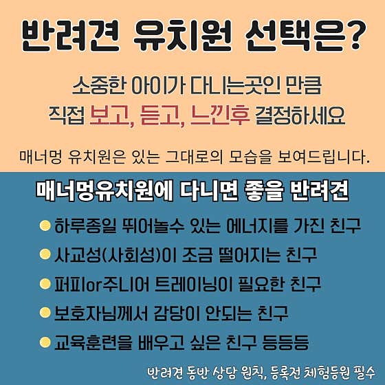 매너멍라이프 애견유치원 애견호텔 애견훈련 강아지유치원 · 네이버 지도·플레이스 2