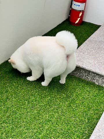 메모르드몽 · 네이버 지도·플레이스 3