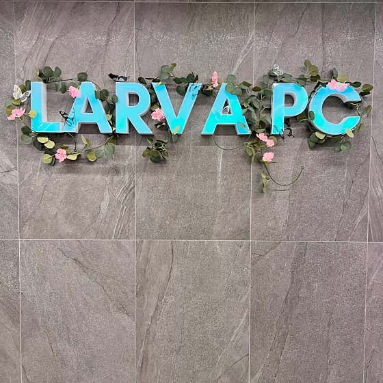 LARVA PC