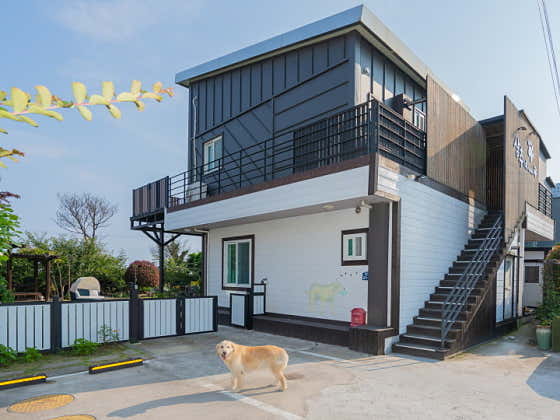 애견동반 상추네 · 네이버 지도·플레이스 3