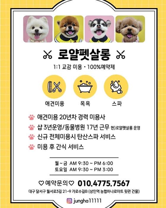 로얄 펫살롱
