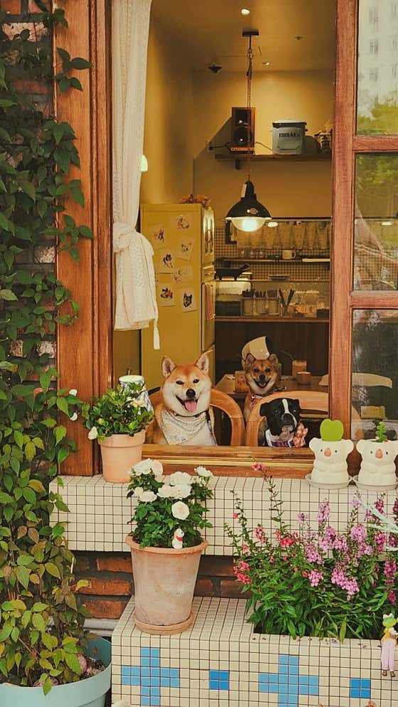 해피버트데이 · 네이버 지도·플레이스 3