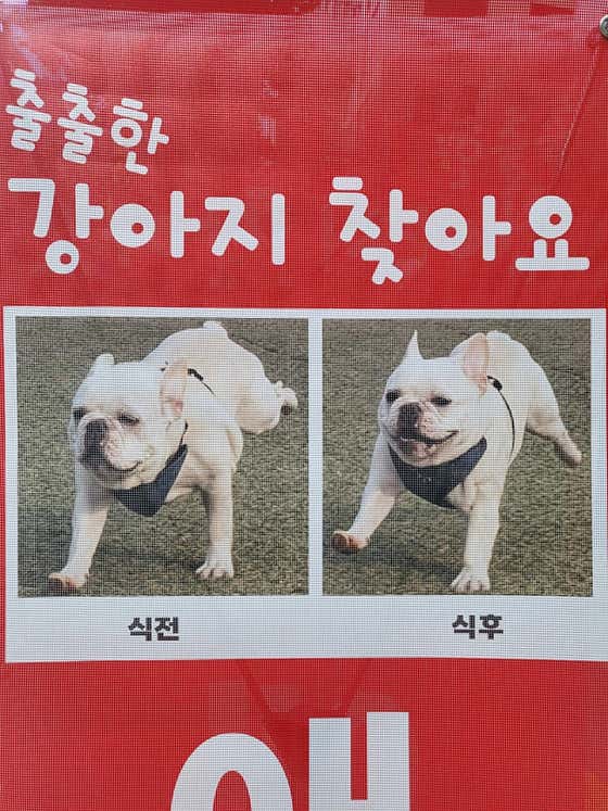 캉캉펫 태평점 · 네이버 지도·플레이스 2