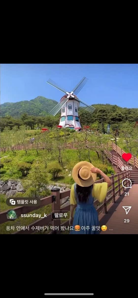 풍차카페수제버거 · 네이버 지도·플레이스 7